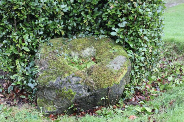 1-IMG_8574 (2016_01_26 12_41_47 UTC)